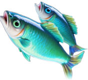 Vai a pesca